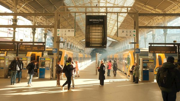 Optimisez votre été avec une lampe anti-moustique puissante