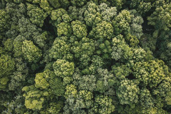 Qui sont les mahorais ? culture et identité de Mayotte